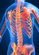 CHIROPRACITC CARE